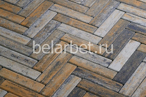 Тротуарная плитка Арбет Паркет NEW "Агат" 60мм